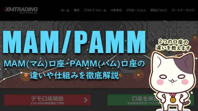 【XM】FXのMAM(マム)口座とPAMM(パム)口座とは？仕組みを解説！